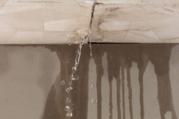 Professional Structural Drying technician working in Utica, MI